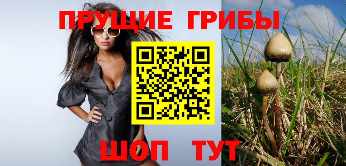Галлюциногенные грибы GOLDEN TEACHER  Вход с VPN  Вышний Волочёк  Псилоцибиновые грибы мицелий 